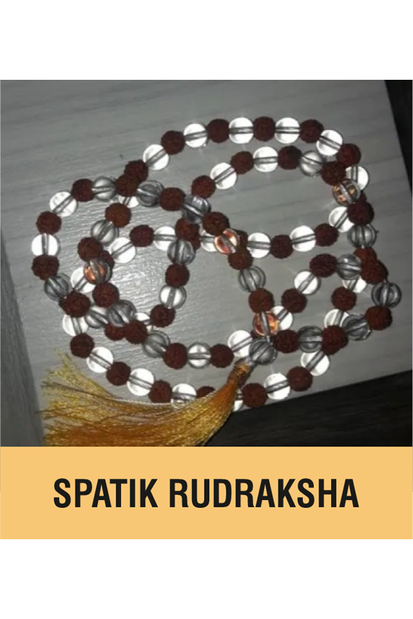 SPATIK RUDRAKSHA