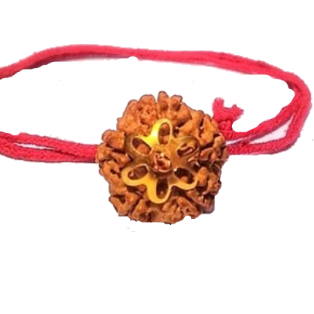 5 Mukhi Natural Nepal Rudraksha with Brass Clips and Thread 18.70 mm ( Lab Certified )