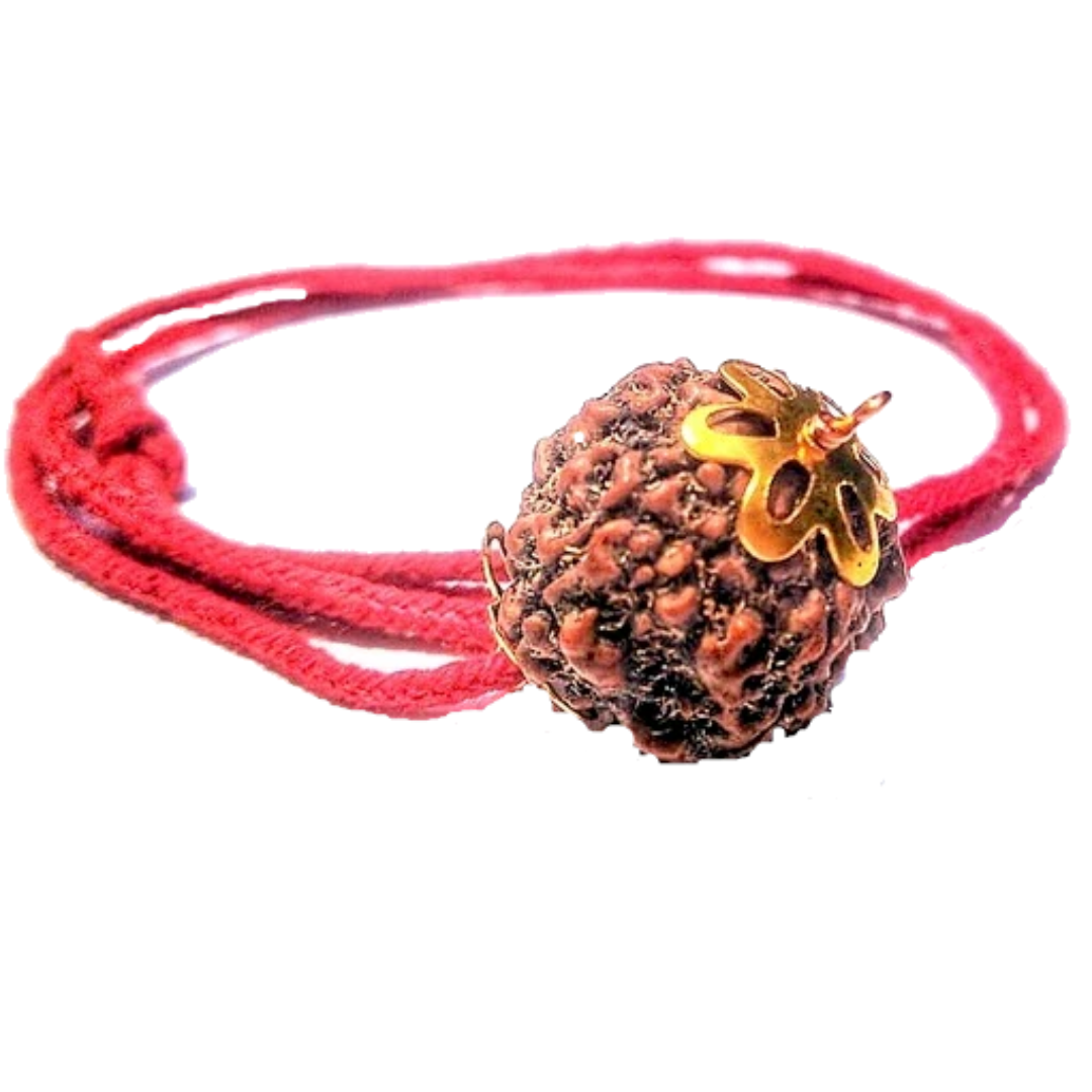 5 Mukhi Natural Nepal Rudraksha with Brass Clips and Thread 18.87 mm ( Lab Certified )