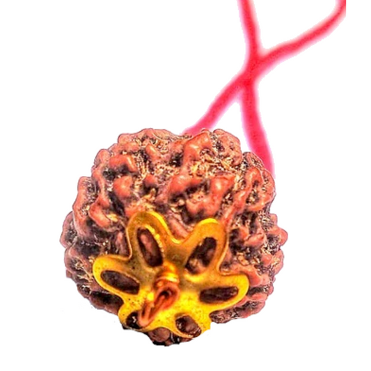 5 Mukhi Natural Nepal Rudraksha with Brass Clips and Thread 18.89 mm ( Lab Certified )