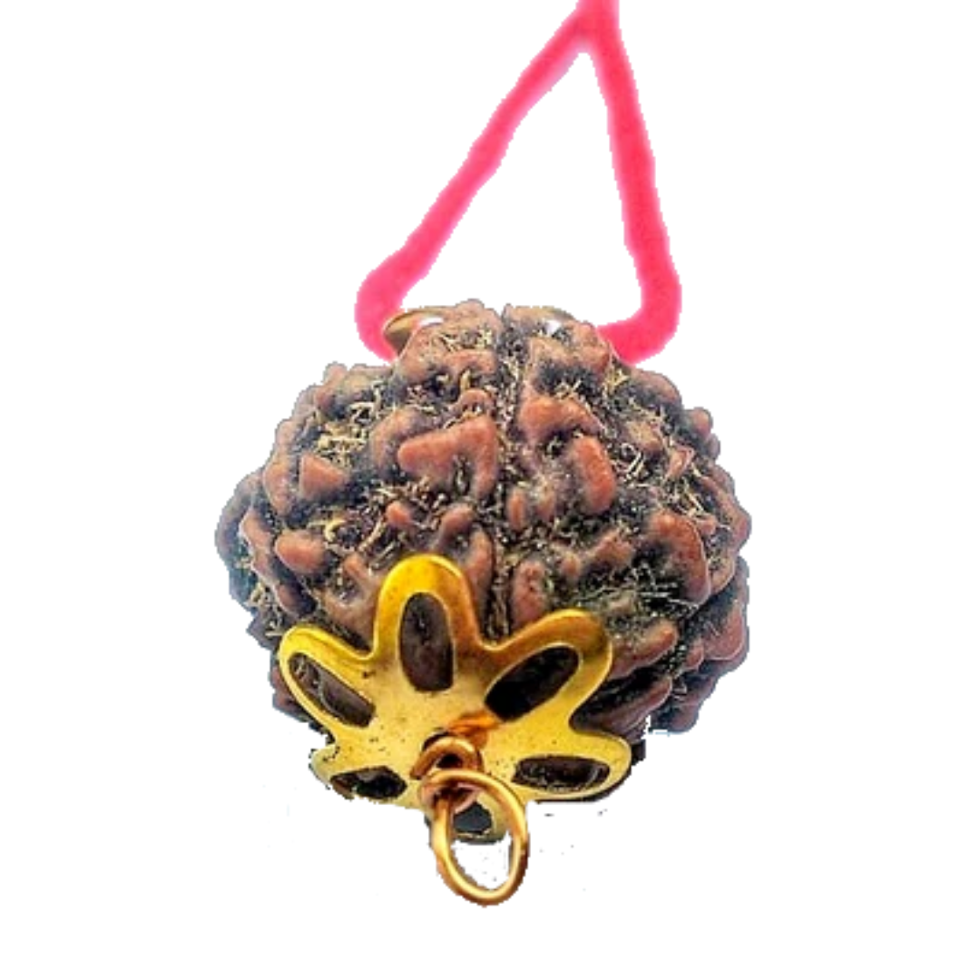 5 Mukhi Natural Nepal Rudraksha with Brass Clips and Thread 18.89 mm ( Lab Certified )