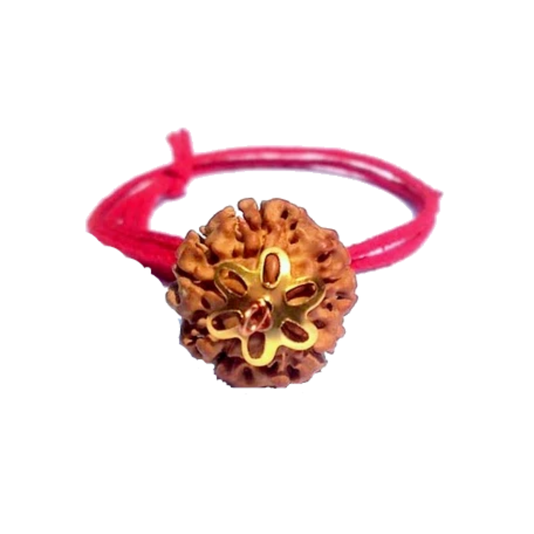 5 Mukhi Natural Nepal Rudraksha with Brass Clips and Thread 19.68 mm ( Lab Certified )