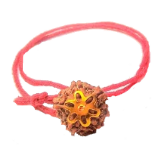 5 Mukhi Natural Nepal Rudraksha with Brass Clips and Thread 19.87 mm ( Lab Certified )