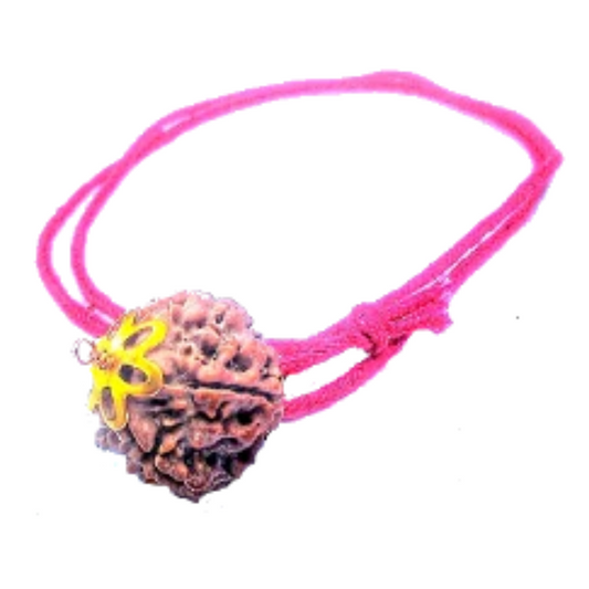 5 Mukhi Natural Nepal Rudraksha with Brass Clips and Thread 20.01 mm ( Lab Certified )