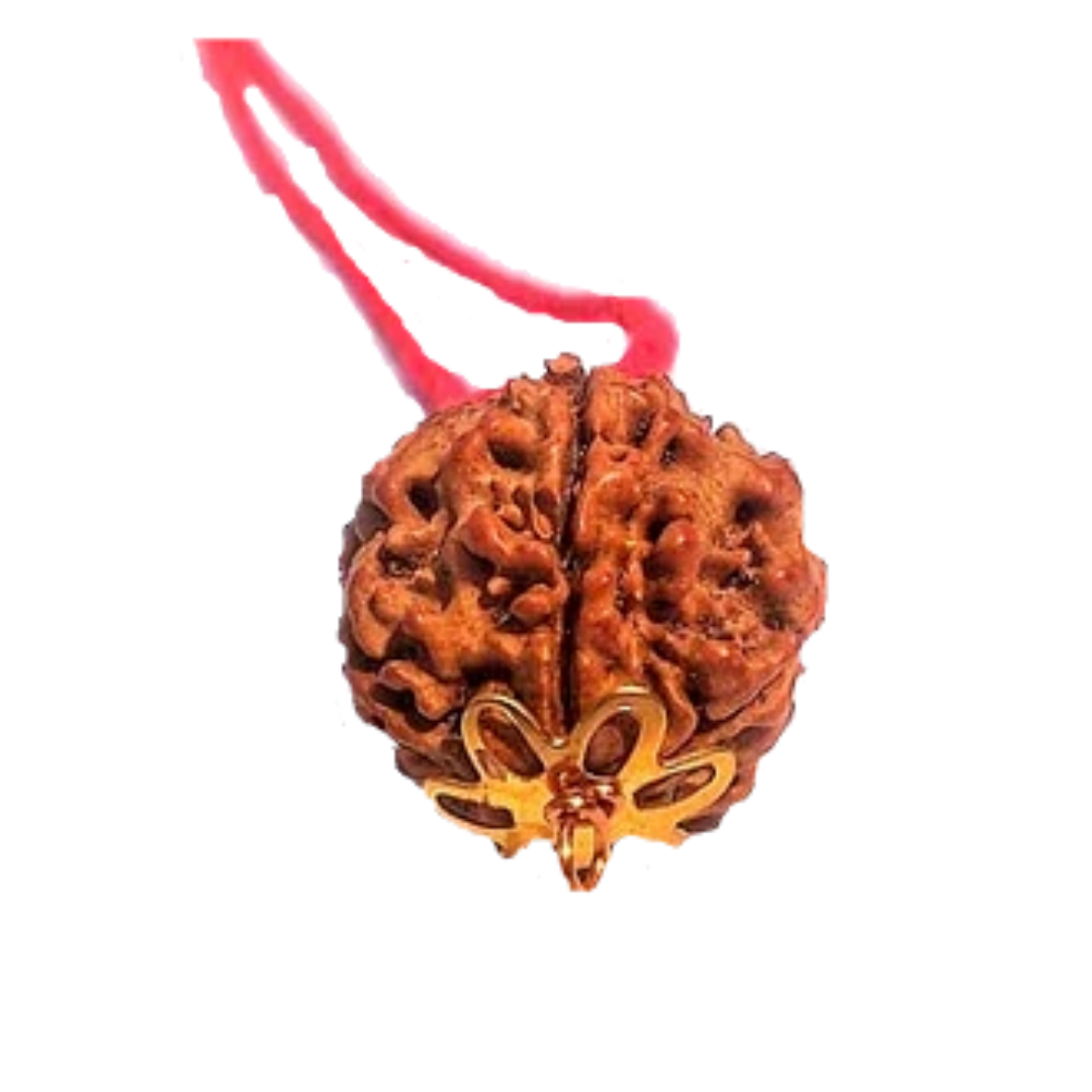 5 Mukhi Natural Nepal Rudraksha with Brass Clips and Thread 20.16 mm ( Lab Certified )