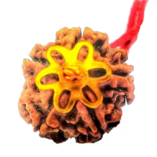 5 Mukhi Natural Nepal Rudraksha with Brass Clips and Thread 20.32 mm ( Lab Certified )