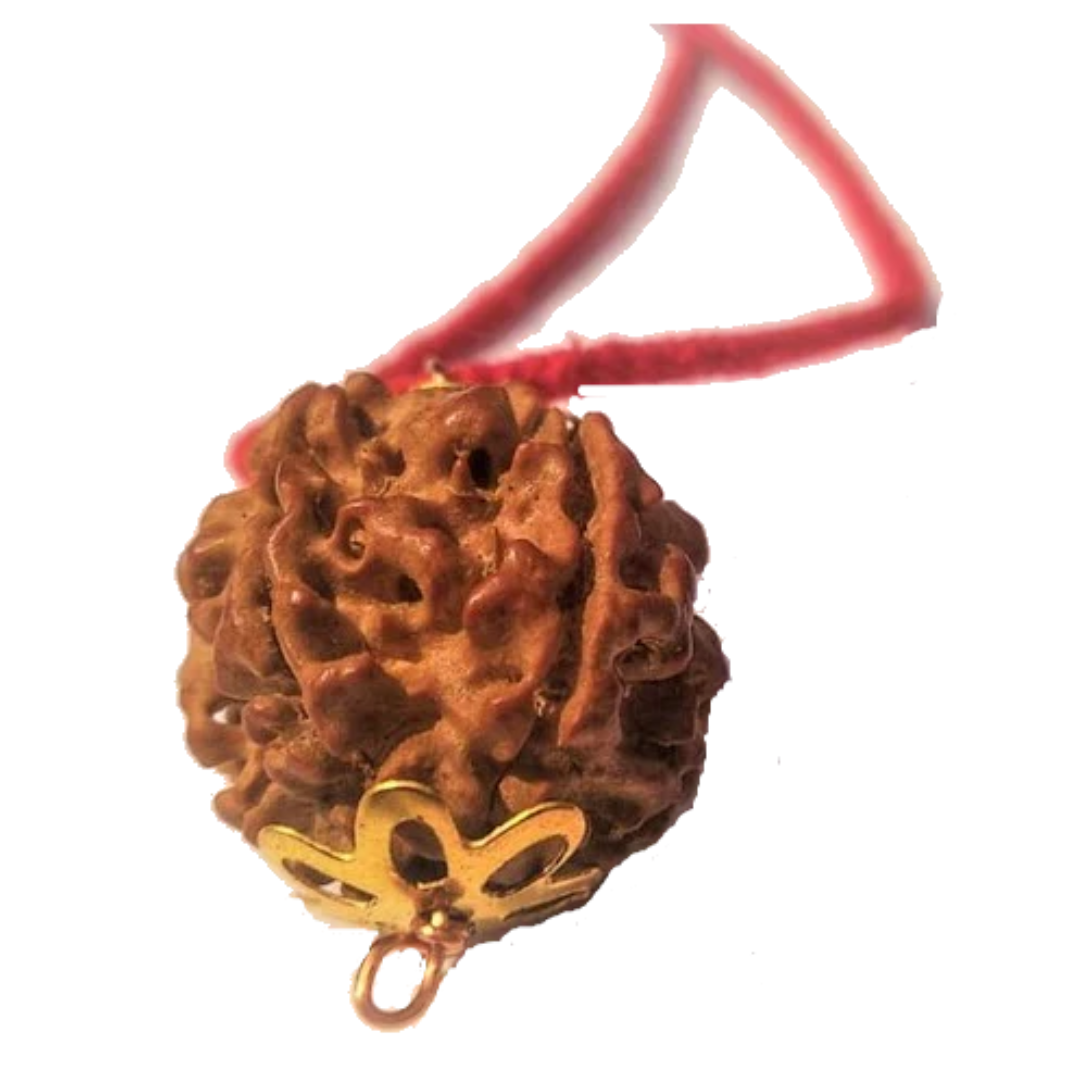 5 Mukhi Natural Nepal Rudraksha with Brass Clips and Thread 20.45 mm ( Lab Certified )