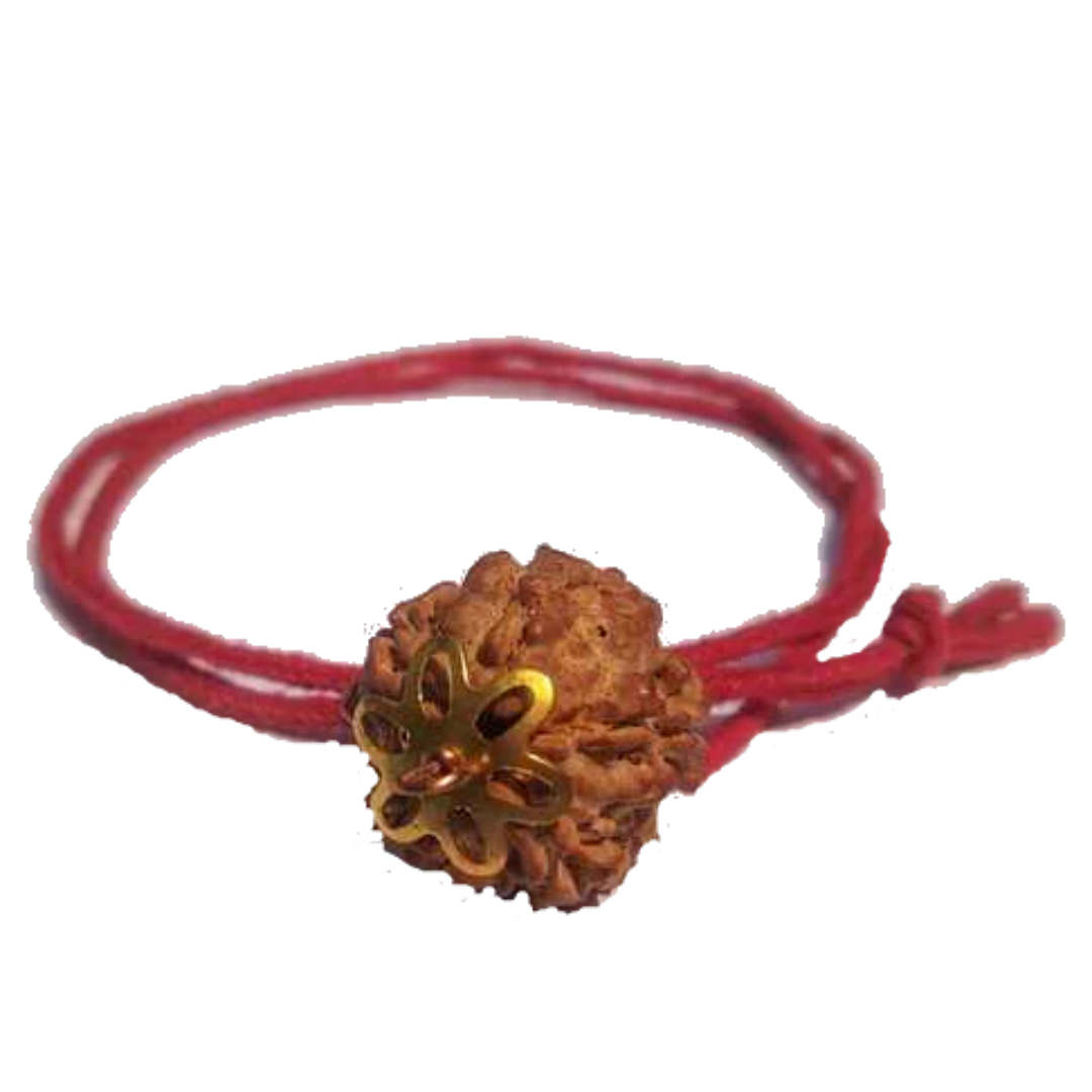 5 Mukhi Natural Nepal Rudraksha with Brass Clips and Thread 20.49 mm ( Lab Certified )