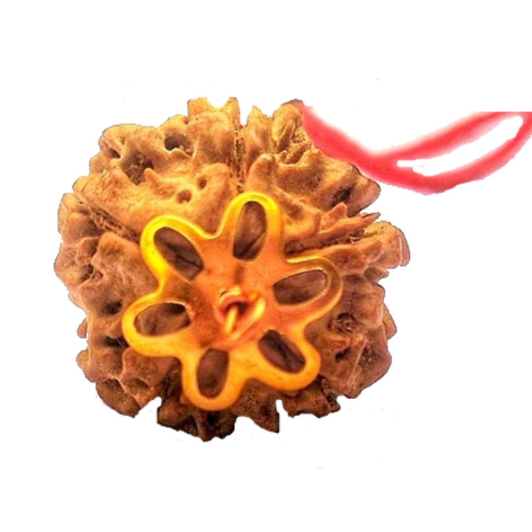 5 Mukhi Natural Nepal Rudraksha with Brass Clips and Thread 20.53 mm ( Lab Certified )