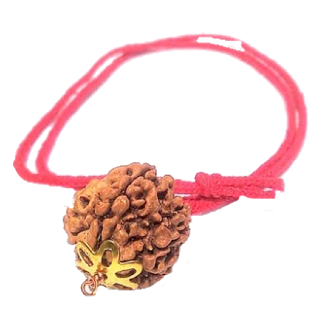 5 Mukhi Natural Nepal Rudraksha with Brass Clips and Thread 20.82 mm ( Lab Certified )