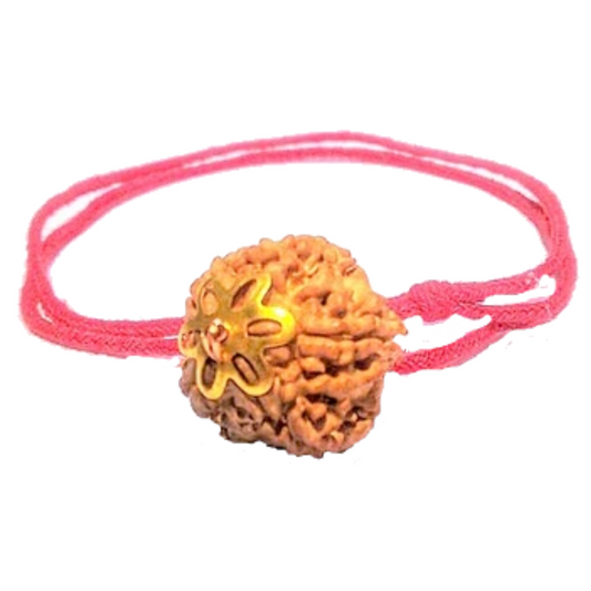 5 Mukhi Natural Nepal Rudraksha with Brass Clips and Thread 21.62 mm ( Lab Certified )