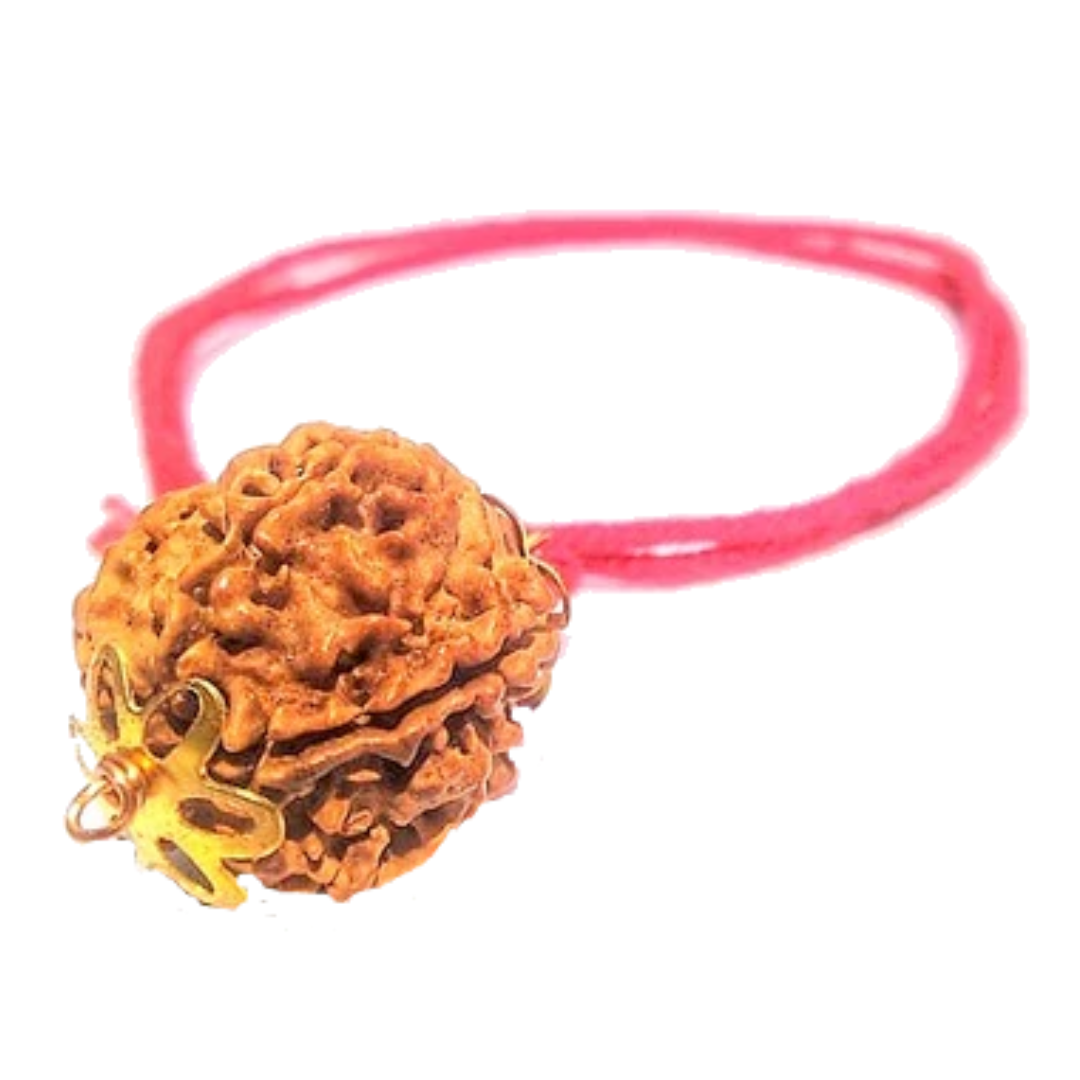 5 Mukhi Natural Nepal Rudraksha with Brass Clips and Thread 21.71 mm ( Lab Certified )