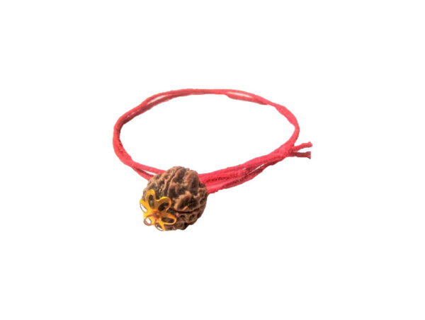 4 Mukhi Natural Nepal Rudraksha with Brass Clips and Thread 18.05 mm ( Lab Certified )