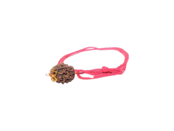 4 Mukhi Natural Nepal Rudraksha with Brass Clips and Thread 18.59 mm ( Lab Certified )