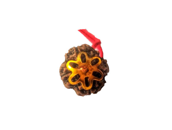 4 Mukhi Natural Nepal Rudraksha with Brass Clips and Thread 19.04 mm ( Lab Certified )