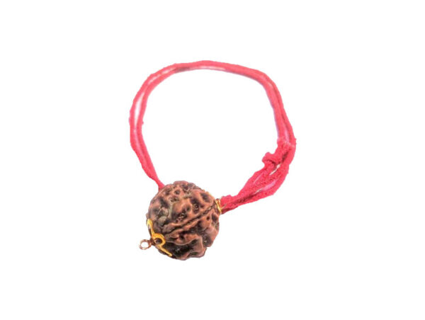 4 Mukhi Natural Nepal Rudraksha with Brass Clips and Thread 19.55 mm ( Lab Certified )