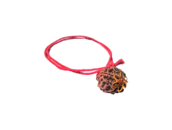 4 Mukhi Natural Nepal Rudraksha with Brass Clips and Thread 19.80 mm ( Lab Certified )