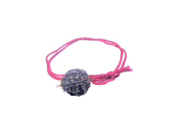 4 Mukhi Natural Nepal Rudraksha with Brass Clips and Thread 20.44 mm ( Lab Certified )