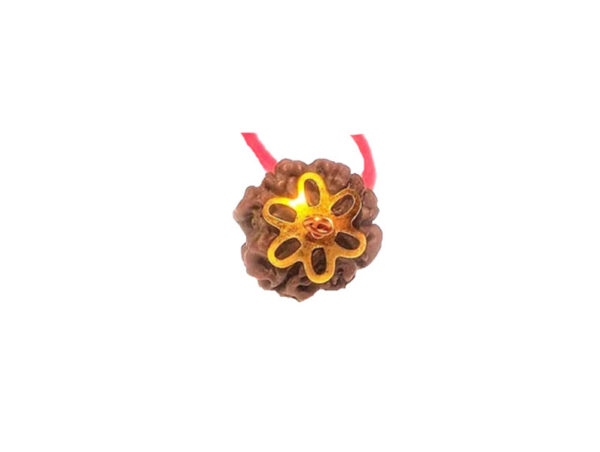 4 Mukhi Natural Nepal Rudraksha with Brass Clips and Thread 17.50 mm ( Lab Certified )