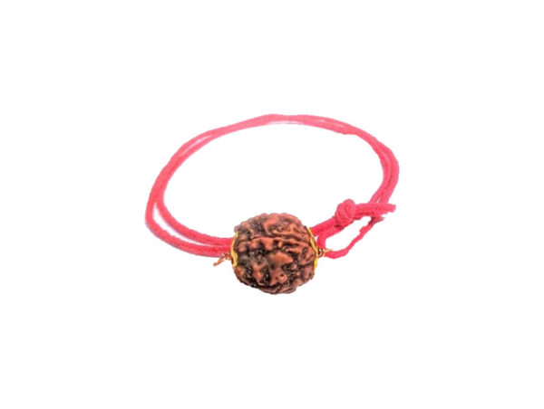 4 Mukhi Natural Nepal Rudraksha with Brass Clips and Thread 17.85 mm ( Lab Certified )