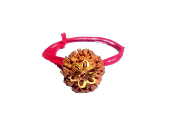5 Mukhi Natural Nepal Rudraksha with Brass Clips and Thread 19.68 mm ( Lab Certified )
