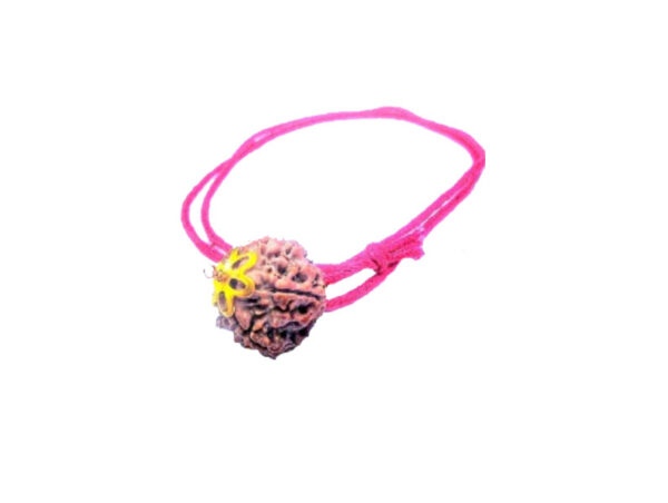 5 Mukhi Natural Nepal Rudraksha with Brass Clips and Thread 20.01 mm ( Lab Certified )