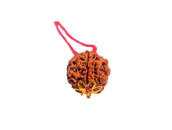 5 Mukhi Natural Nepal Rudraksha with Brass Clips and Thread 20.16 mm ( Lab Certified )