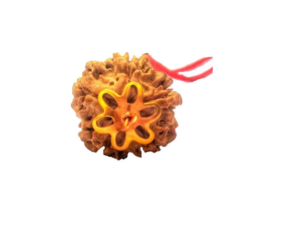 5 Mukhi Natural Nepal Rudraksha with Brass Clips and Thread 20.53 mm ( Lab Certified )