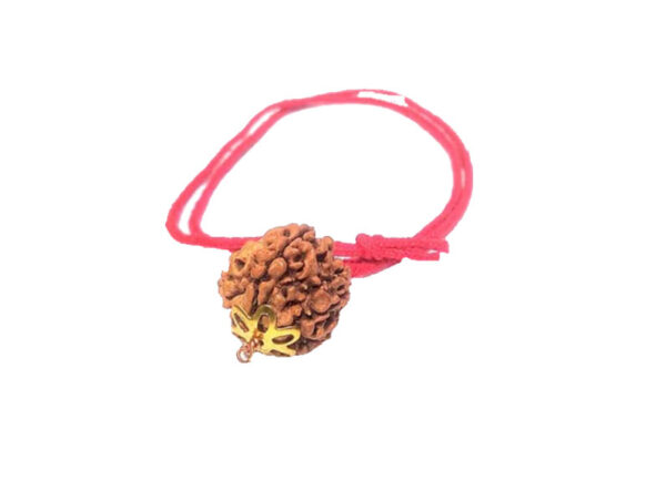 5 Mukhi Natural Nepal Rudraksha with Brass Clips and Thread 20.82 mm ( Lab Certified )