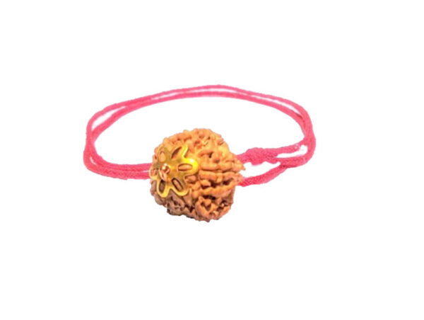 5 Mukhi Natural Nepal Rudraksha with Brass Clips and Thread 21.62 mm ( Lab Certified )
