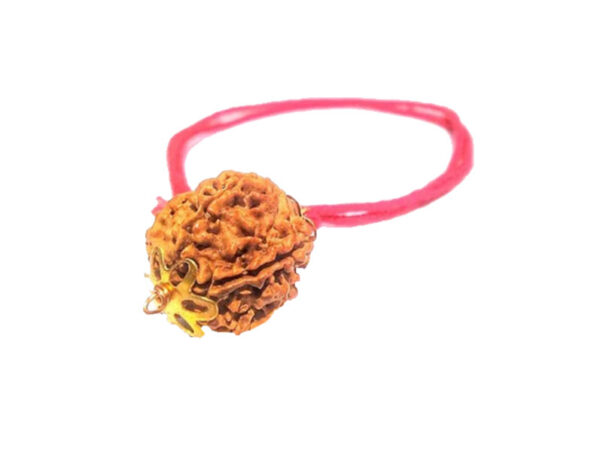 5 Mukhi Natural Nepal Rudraksha with Brass Clips and Thread 21.71 mm ( Lab Certified )