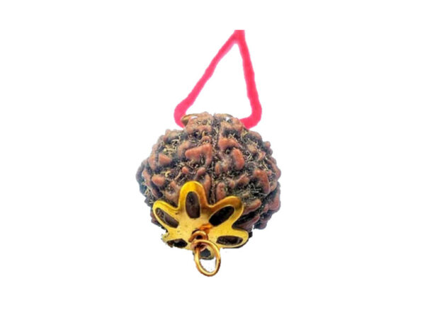 5 Mukhi Natural Nepal Rudraksha with Brass Clips and Thread 18.89 mm ( Lab Certified )
