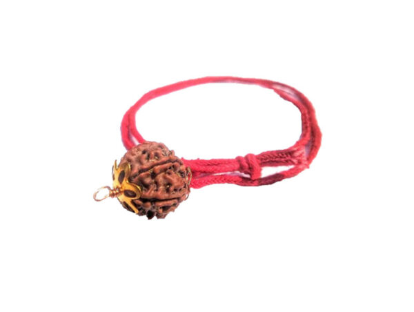 6 Mukhi Natural Nepal Rudraksha with Brass Clips and Thread 16.04 mm ( Lab Certified )
