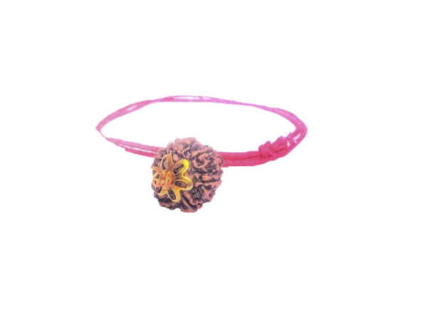 6 Mukhi Natural Nepal Rudraksha with Brass Clips and Thread 17.80 mm ( Lab Certified )