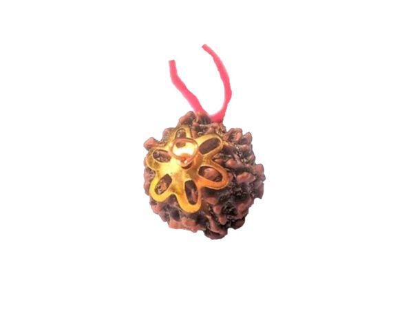 6 Mukhi Natural Nepal Rudraksha with Brass Clips and Thread 18.30 mm ( Lab Certified )