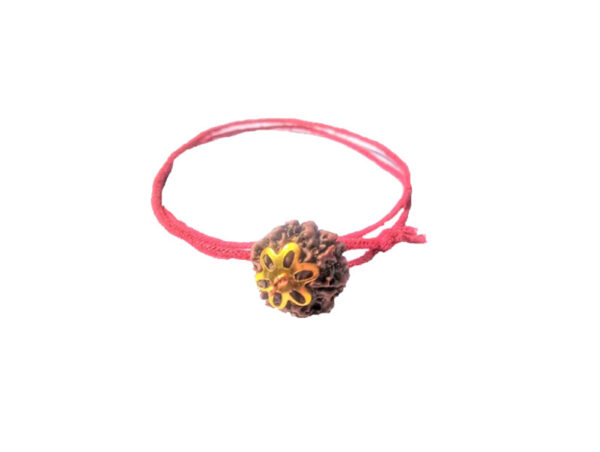 6 Mukhi Natural Nepal Rudraksha with Brass Clips and Thread 18.40 mm ( Lab Certified )