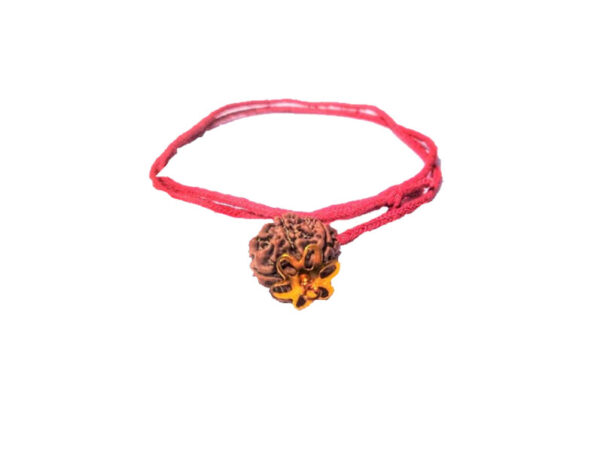 6 Mukhi Natural Nepal Rudraksha with Brass Clips and Thread 16.62 mm ( Lab Certified )