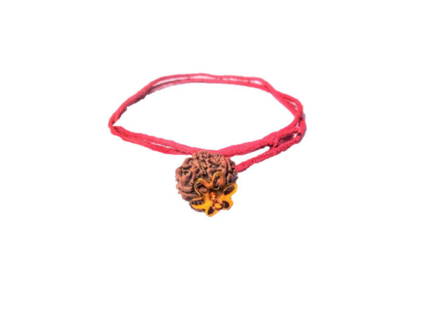 6 Mukhi Natural Nepal Rudraksha with Brass Clips and Thread 16.62 mm ( Lab Certified )