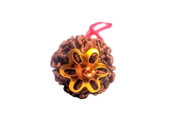 6 Mukhi Natural Nepal Rudraksha with Brass Clips and Thread 16.85 mm ( Lab Certified )