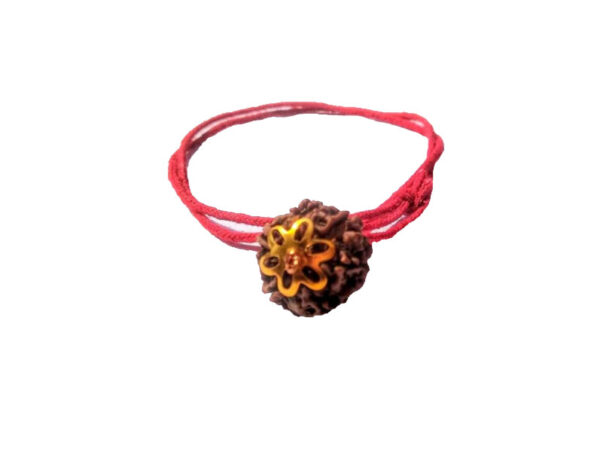 6 Mukhi Natural Nepal Rudraksha with Brass Clips and Thread 17.32 mm ( Lab Certified )
