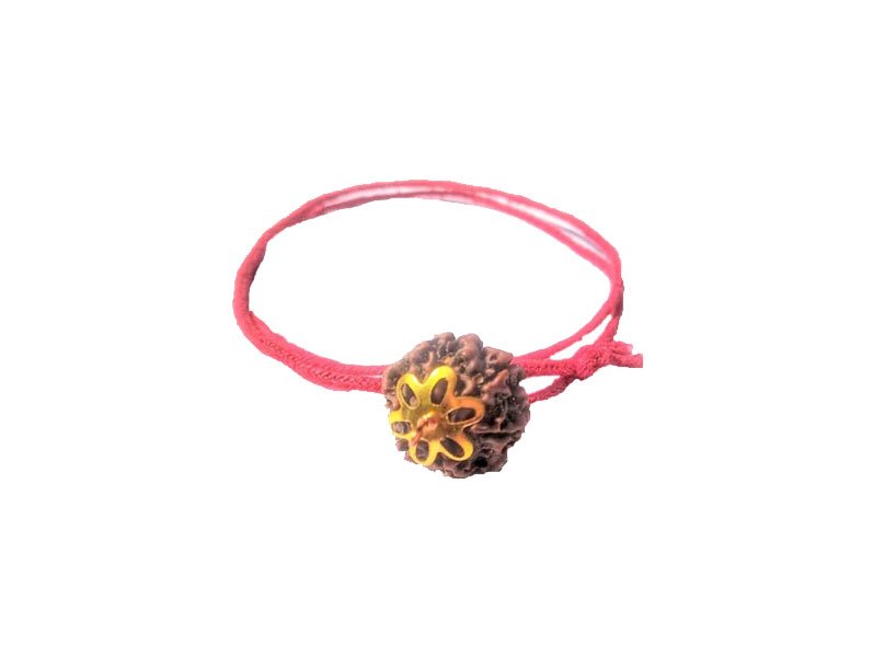 6 Mukhi Natural Nepal Rudraksha with Brass Clips and Thread 17.33 mm ( Lab Certified )