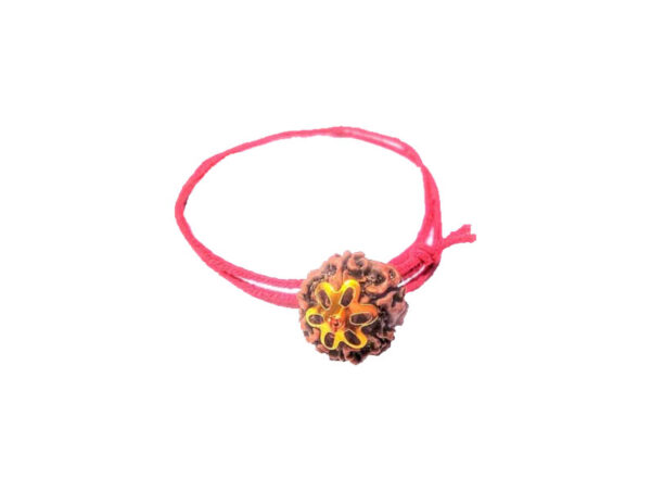 6 Mukhi Natural Nepal Rudraksha with Brass Clips and Thread 17.37 mm ( Lab Certified )